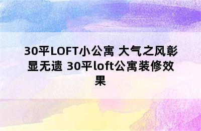 30平LOFT小公寓 大气之风彰显无遗 30平loft公寓装修效果